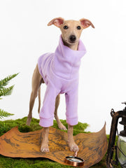 Haloumoning dog sweater breathable fabric offers comfortable wear on daily outings