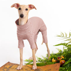 Haloumoning dog sweater front-view highlights cozy knit and snug fit.