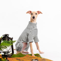 Haloumoning dog sweater pullover design, classic look for stylish dogs.
