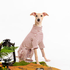 Haloumoning dog sweater soft breathable fabric enhances comfort during everyday wear