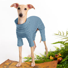 Haloumoning dog sweater striped design and color block for festive style