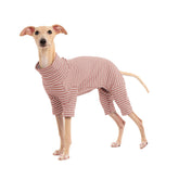 Haloumoning dog sweater striping-design boosts winter style and warmth.