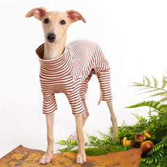 Haloumoning dog sweater turtleneck knitwear offers snug layering for chilly walks