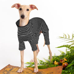 Haloumoning turtleneck pullover knitwear showcases warm winter style for dogs.