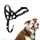 Halti Headcollar padded nose band; comfortable control during leash training.