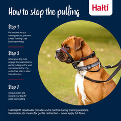 HALTI OptiFit reflective webbing boosts visibility in low-light outdoor walks