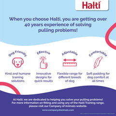 Halti Training Leash hands-free tether setup enables convenient outdoor activities without constant re-gripping.