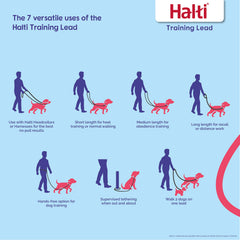 Halti Training Leash soft padded handle provides comfortable grip during long training sessions.
