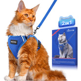 Halypet H200 Pro escape-proof harness ready for outdoor adventures with secure fit.