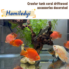 Hamiledyi natural driftwood decor creates a focal point and supports moss attachment.