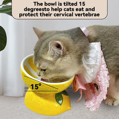 Hamiledyi ceramic elevated cat bowl with lemon pattern enhances comfort