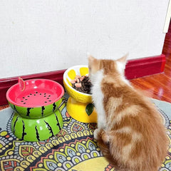 Hamiledyi two-piece watermelon bowls for food and water separation