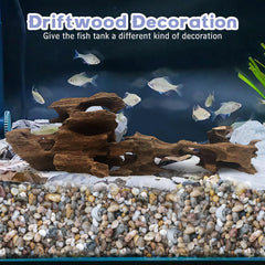 Close-up of Hamiledyi driftwood decor with holes for shrimp and small fish