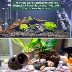 Hamiledyi driftwood aquarium setup image shows versatile habitat decor