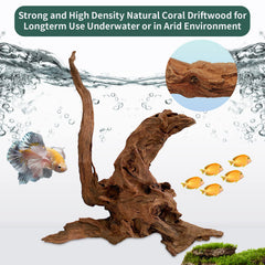 Hamiledyi driftwood branches lightweight setup for easy aquarium arrangement