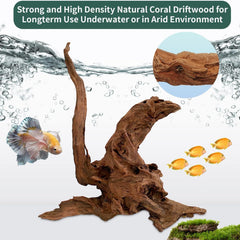 Hamiledyi driftwood fish tank decor delivering immersive aquascape and hiding spots
