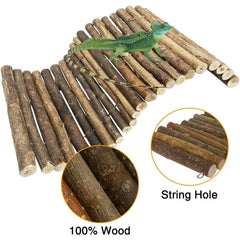 Hamiledyi natural wood habitat ramp offers durable, additive-free play.