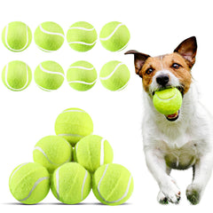 Hanaive dog tennis ball 20-pack yellow for reliable fetch sessions.