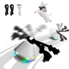 Hanarook interactive dog ball action showcases self-rolling chase for engaging play.