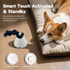 Hanarook interactive dog ball play modes offer varied challenges for curious dogs.