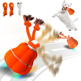 Hanarook Pumpkin interactive ball front view for indoor playtime and curiosity