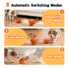 Hanarook Pumpkin interactive ball side view showcases chasing and physical engagement