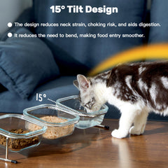 Hannadepot glass cat bowls 3-pack for organized portions and easy cleaning.