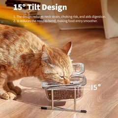 Hannadepot glass cat bowls two bowls for food and water.
