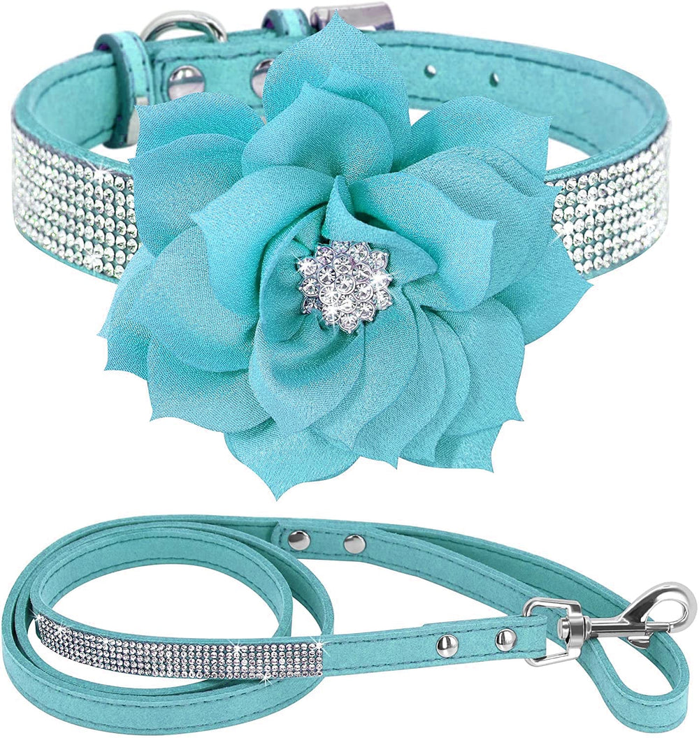 Haoyueer Blue7 collar close-up shows eye-catching sparkle for stylish pets.