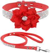 Haoyueer dazzling rhinestone collar red7-s on a pet for sparkling daily walks.