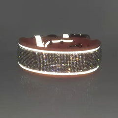 haoyueer rhinestone dog collar pink on dog demonstrates fashionable comfort for everyday walks