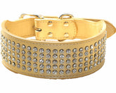 Haoyueer rhinestones dog collar front view with gold sparkle, ideal for stylish strolls and photo moments.