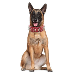 Haoyueer close-up of nickel-plated studs and durable faux leather, secure D-ring for confident leash control