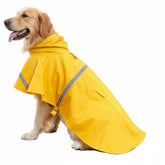 HAPEE dog raincoat yellow hood close-up showing snug fit for rainy walks