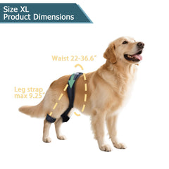 HAPPYHAO breathable material keeps dog's skin comfortable during wear