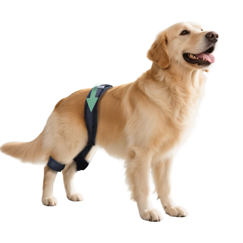 HAPPYHAO dog hip brace worn during activity provides hip support