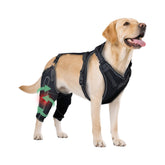 HAPPYHAO dog knee brace front view demonstrates secure fit for joint support.