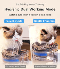 HAPUP cat fountain inclined water flow promotes natural drinking posture