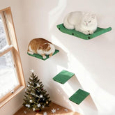 HAPYKITYS Cat Wall Shelves Inside Green Set – quiet climbing and lounging perch.