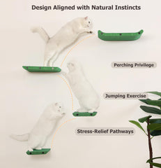 HAPYKITYS Cat Wall Shelves Inside Green Set – space-saving multi-cat playground.
