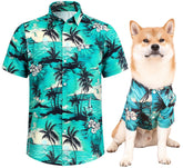 Harbyel Hawaii dog shirt on dog showcases bold colors for outdoor walks