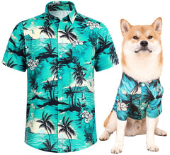 Harbyel Hawaii dog shirt on dog showcases bold colors for outdoor walks