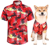 Harbyel Hawaii dog shirts on a dog walk offer comfy sun protection.
