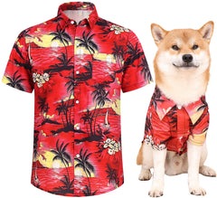 Harbyel Hawaii dog shirts on a dog walk offer comfy sun protection.