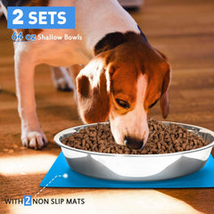 Harhana shallow bowls with 2-inch height for whisker-friendly feeding