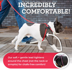Harness Lead dog-walking in soft, cushioned rope harness reduces tugging and enhances control.