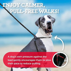 Harness Lead new insert removable close-up showing adjustable tightness.