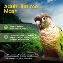 Harrison's Adult Lifetime Mash powder close-up emphasizes minimally processed, organic whole-food ingredients.