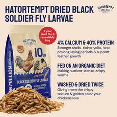 Hatortempt dried larvae closeup highlights calcium content for eggshell support