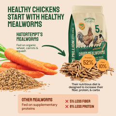 Hatortempt mealworms packaging shows resealable bag for freshness.